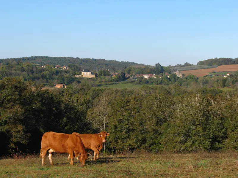 Vue de Anlhiac, Dordogne