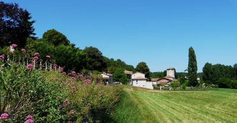 Vue de Bussac, Dordogne