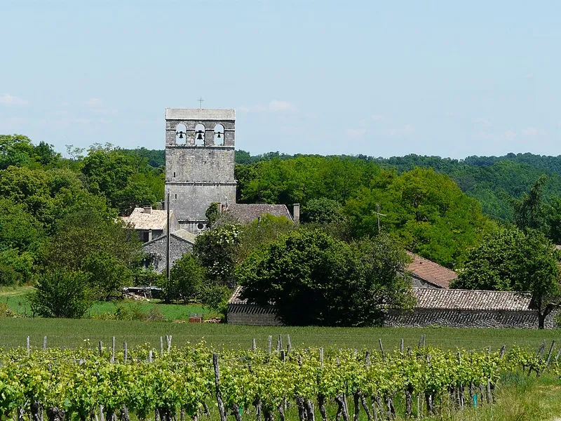 Vue de Conne-de-Labarde, Dordogne